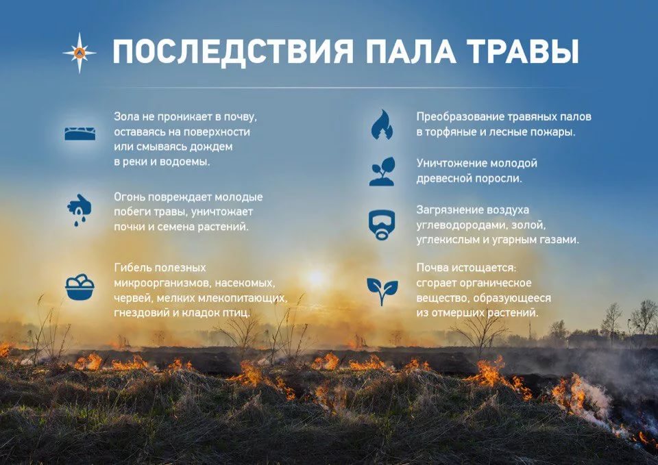 i copy copy copy copy copy copy copy copy