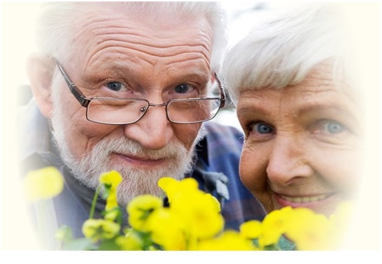 Безымянный copy copy copy copy