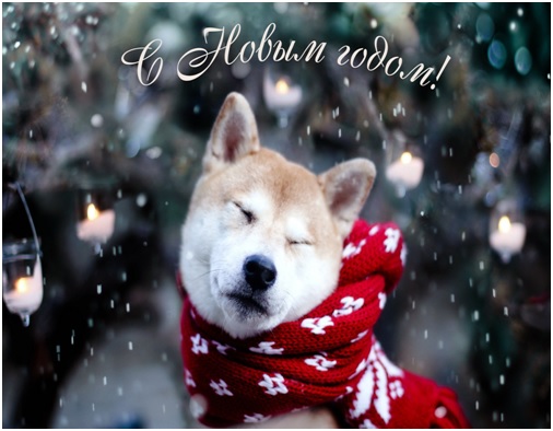 Безымянный copy copy copy copy copy copy copy copy