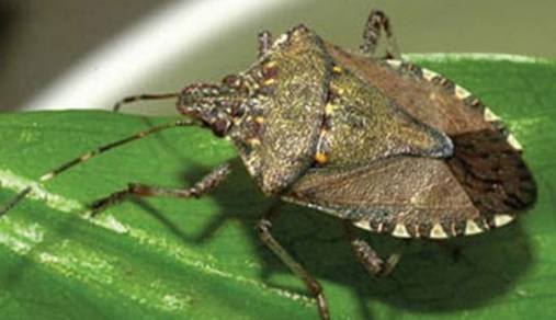 Безымянный copy copy copy copy copy copy copy copy copy copy copy copy